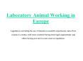 Laboratory Animal Working in Europe PowerPoint PPT Presentation