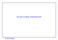 Visual Quality Assessment PowerPoint PPT Presentation
