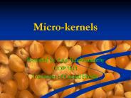 Micro-kernels