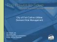 City of Fort Collins Utilities Demand Side Management PowerPoint PPT Presentation