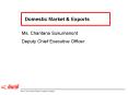 Domestic Market PowerPoint PPT Presentation