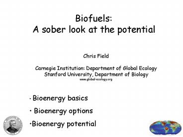 Biofuels: A sober look at the potential