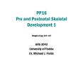 PP16 Pre and Postnatal Skeletal Development 1 PowerPoint PPT Presentation