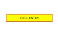VIRUS ENTRY PowerPoint PPT Presentation