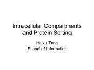 Intracellular Compartments and Protein Sorting