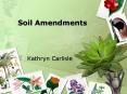 Soil Amendments PowerPoint PPT Presentation