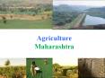 Agriculture  Maharashtra PowerPoint PPT Presentation