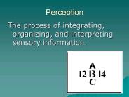 Perception