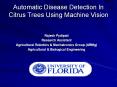 Automatic Disease Detection In Citrus Trees Using Machine Vision PowerPoint PPT Presentation