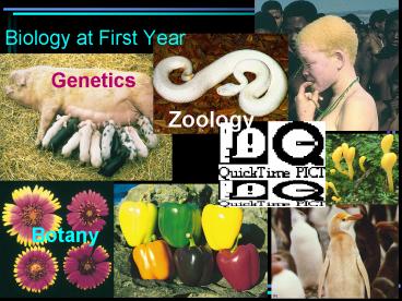 Biology at First Year