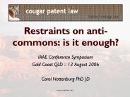 IAAE Conference Symposium