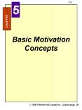 Basic Motivation Concepts PowerPoint PPT Presentation