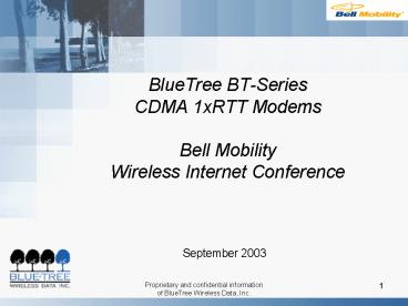 BlueTree BTSeries CDMA 1xRTT Modems Bell Mobility Wireless Internet Conference