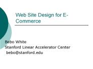 Web Site Design for E-Commerce