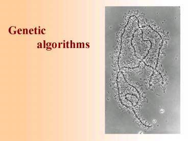 presentation player overlay