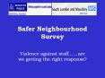 Safer Neighbourhood Survey PowerPoint PPT Presentation
