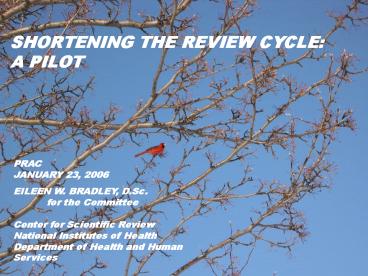 SHORTENING THE REVIEW CYCLE: A PILOT