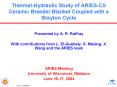 ThermalHydraulic Study of ARIESCS Ceramic Breeder Blanket Coupled with a Brayton Cycle PowerPoint PPT Presentation