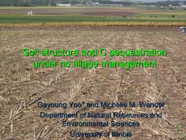Soil%20structure%20and%20C%20sequestration%20under%20no%20tillage%20management