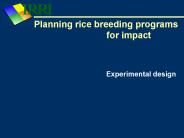Planning rice breeding programs          for impact