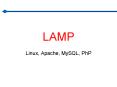LAMP PowerPoint PPT Presentation