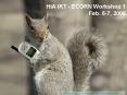 HiA IKT ECORN Workshop 1 Feb' 67, 2006 PowerPoint PPT Presentation