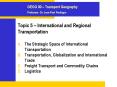 Topic 5 International and Regional Transportation PowerPoint PPT Presentation