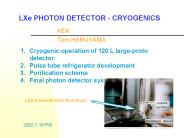 LXe PHOTON DETECTOR - CRYOGENICS