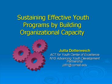 Sustaining Effective Youth Programs by Building Organizational Capacity
