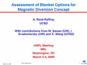 Assessment of Blanket Options for Magnetic Diversion Concept
