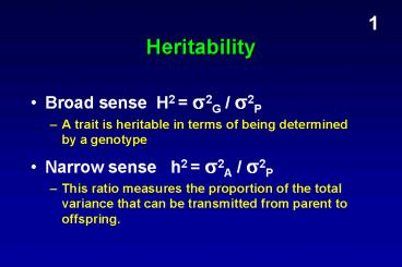 presentation player overlay
