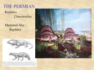 THE%20PERMIAN