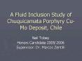 A Fluid Inclusion Study of Chuquicamata Porphyry CuMo Deposit, Chile PowerPoint PPT Presentation