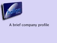 A brief company profile