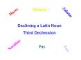 Declining a Latin Noun PowerPoint PPT Presentation