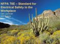 NFPA 70E Standard for Electrical Safety in the Workplace Dan Lazorcak Will Rogers PowerPoint PPT Presentation