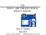 11a.  WHAT ARE THE KEY RURAL POLICY ISSUES?