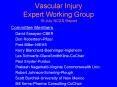 Vascular Injury Expert Working Group 19 July NCSS Report PowerPoint PPT Presentation