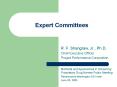 Expert Committees PowerPoint PPT Presentation