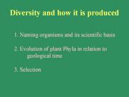 Diversity and how it is produced