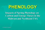 PHENOLOGY