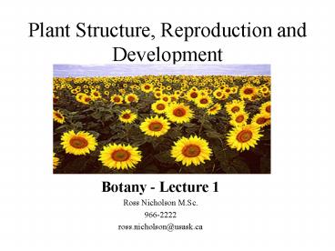 presentation player overlay