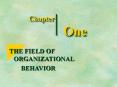 THE FIELD OF ORGANIZATIONAL PowerPoint PPT Presentation