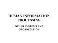 HUMAN INFORMATION PROCESSING PowerPoint PPT Presentation