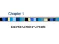Essential Computer Concepts PowerPoint PPT Presentation