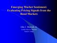 Emerging Market Sentiment: Evaluating Pricing Signals from the Bond Markets