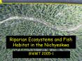 Riparian Ecosystems and Fish Habitat in the Nichyeskwa PowerPoint PPT Presentation