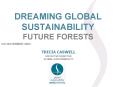 DREAMING GLOBAL SUSTAINABILITY FUTURE FORESTS PowerPoint PPT Presentation