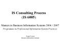 IS Consulting Process (IS 6005) PowerPoint PPT Presentation