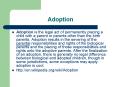Adoption PowerPoint PPT Presentation